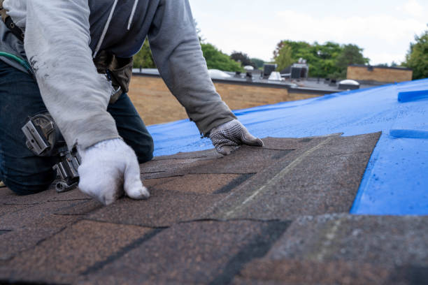 Best Commercial Roofing Services  in Oak Grove, AL