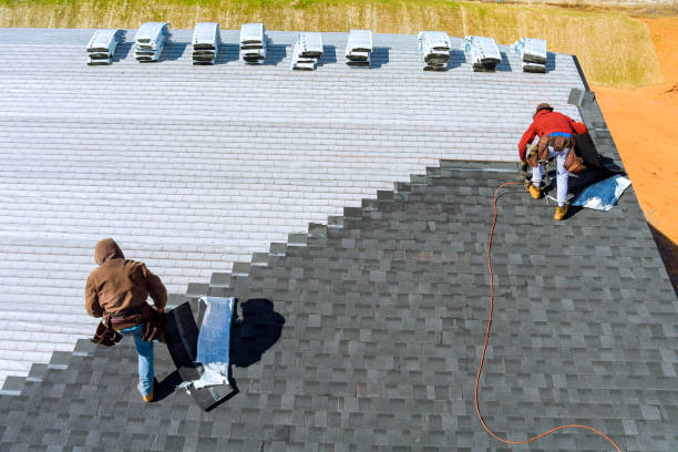 Best Roof Gutter Cleaning  in Oak Grove, AL